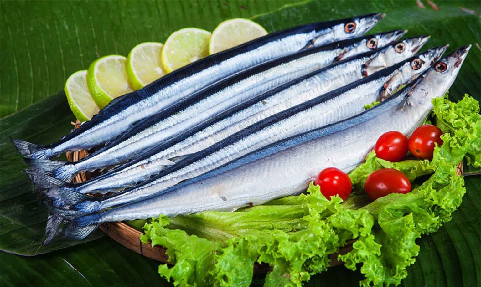 Cá thu là một trong những nguồn chứa omega-3 dồi dào nhất