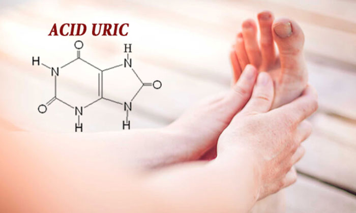 Acid uric là sản phẩm chất thải cuối cùng của quá trình chuyển hóa purine
