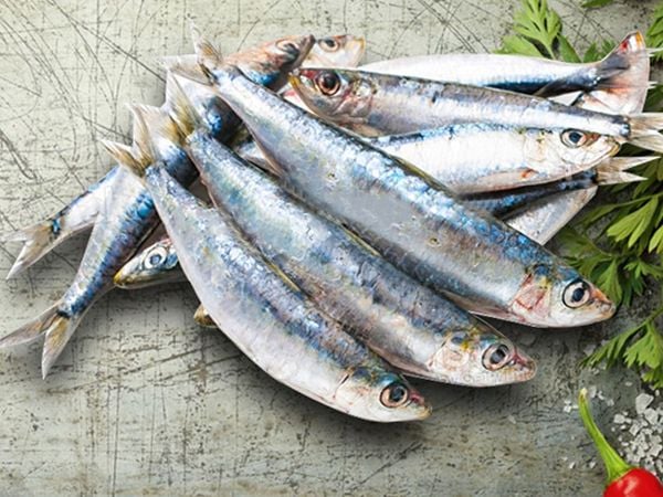Cá mòi nhưng giàu omega-3