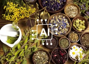 Chuyên gia toàn cầu tìm lời giải AI cho y học cổ truyền Việt Nam