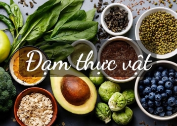 Mẹo giúp kiểm soát lượng đạm ngày Tết cho người bệnh Gout (Phần 2)