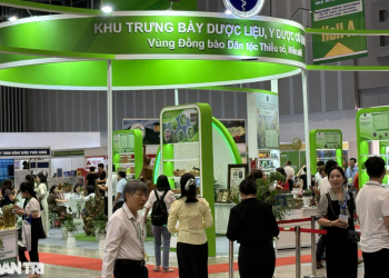 Y học cổ truyền: Việt Nam có lợi thế lớn nhưng xuất khẩu dược liệu khó khăn