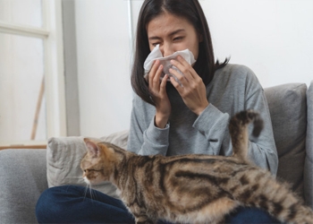 VIÊM MŨI DỊ ỨNG - NGUYÊN NHÂN VÀ LIỆU PHÁP ĐIỀU TRỊ BỆNH