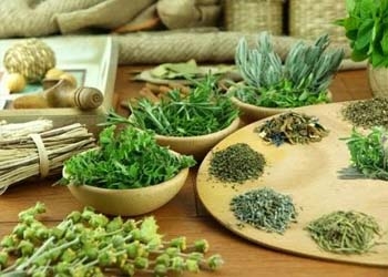 NHỮNG BÀI THUỐC NAM HIỆU QUẢ TRONG ĐIỀU TRỊ BỆNH GAN