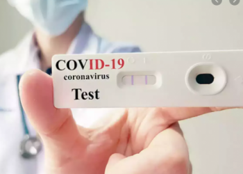 Biến thể phụ XBB xuất hiện tại TP.HCM có tốc độ lây lan và độc lực thế nào?
